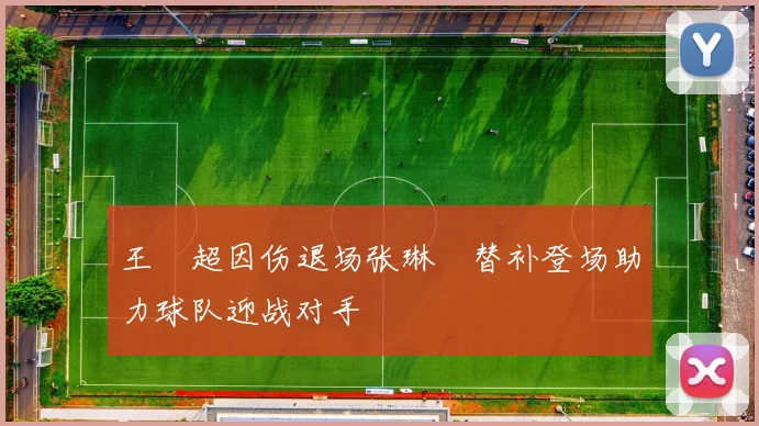 王燊超因伤退场张琳芃替补登场助力球队迎战对手